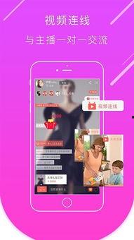 圈哥每日爆料直播视频下载,每日爆料视频精彩内容大盘点  第1张